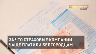 За что страховые компании чаще платили белгородцам