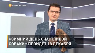 «Зимний день счастливой собаки» пройдёт 18 декабря