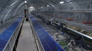 В Шебекинском округе будут реализовывать здоровые продукты 