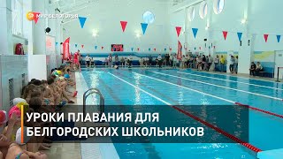 Уроки плавания для белгородских школьников