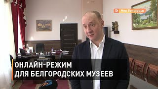 Белгородские музеи и театры переходят в онлайн-режим