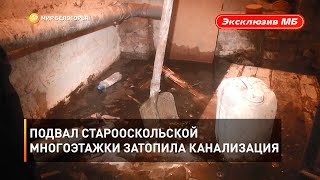 Подвал старооскольской многоэтажки затопила канализация