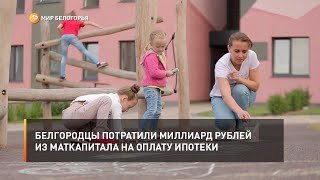 Белгородцы потратили миллиард рублей из маткапитала на оплату ипотеки