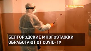 Белгородские многоэтажки обработают от COVID-19