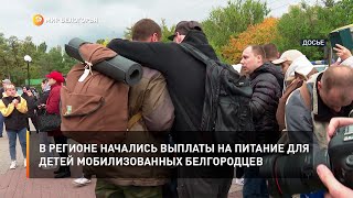 В регионе начались выплаты на питания для детей мобилизованных белгородцев