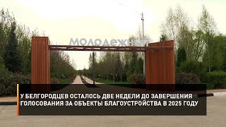 У белгородцев осталось две недели до завершения голосования за объекты благоустройства в 2025 году