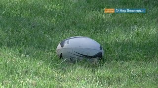 Спортивный пикник регбистов