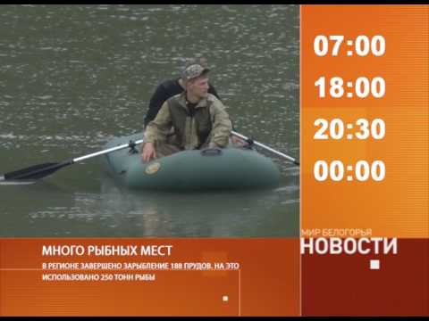 Смотрите на «Мире Белогорья» сегодня, 15 июня 