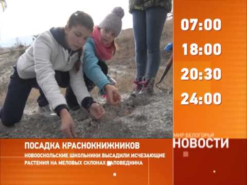 Смотрите на «Мире Белогорья» сегодня, 22 октября