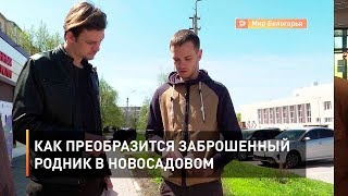 Как преобразится заброшенный родник в Новосадовом