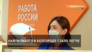 Найти работу в Белгороде стало легче