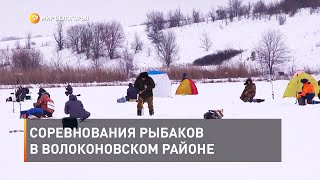 Соревнования рыбаков в Волоконовском районе