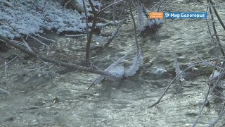 79 мест для крещенских купаний Белгородской области