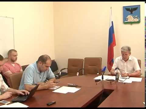 Какой сорт пшеницы выбрать