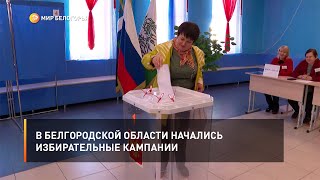 В Белгородской области начались избирательные кампании