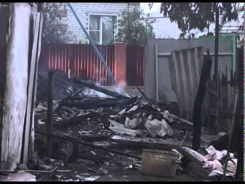 Последствия травяных палов