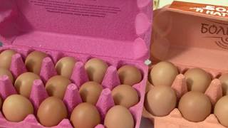 «Лето» – ведущий белгородский производитель яиц 