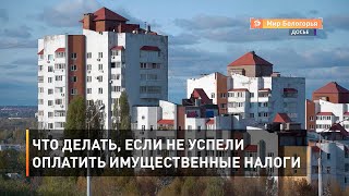 Что делать, если не успели оплатить имущественные налоги 