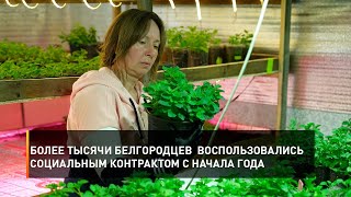 Более тысячи белгородцев  воспользовались социальным контрактом с начала года