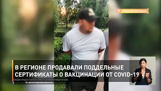 В регионе продавали поддельные сертификаты о вакцинации от COVID-19