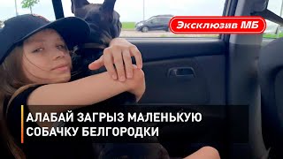 Алабай загрыз маленькую собачку белгородки