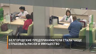 Белгородские предприниматели стали чаще страховать риски и имущество