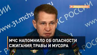 МЧС напомнило об опасности сжигания травы и мусора