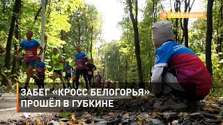 Забег «Кросс Белогорья» прошёл в Губкине 