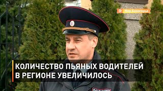 Количество пьяных водителей в Белгородской области увеличилось
