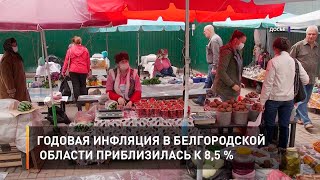 Годовая инфляция в Белгородской области приблизилась к 8,5 %