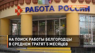 На поиск работы белгородцы в среднем тратят 5 месяцев