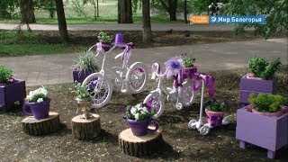 Новинки форума «Зеленая столица» в 2019 году