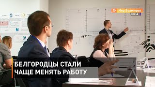 Белгородцы стали чаще менять работу 