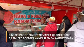 В Белгороде пройдёт ярмарка деликатесов Дальнего Востока «Икра и рыба камчатская»