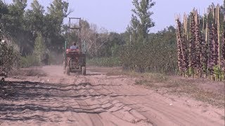 В Новом Осколе готовятся к сезону посадки деревьев