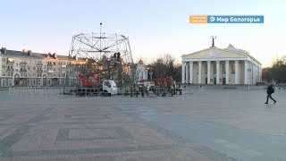 Главную ёлку Белгорода начали монтировать