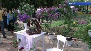 Какой будет «Зелёная столица» в 2019 году