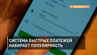 Система быстрых платежей набирает популярность 