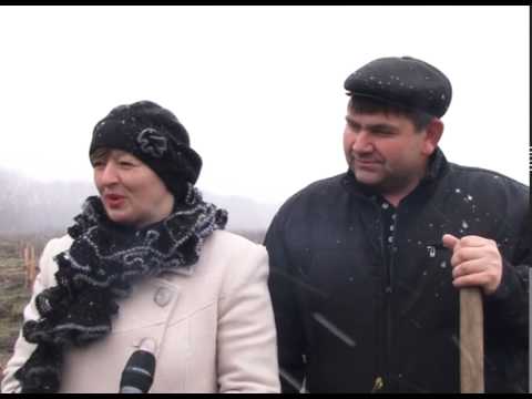 В Волоконовке появился парк в честь новорожденных 