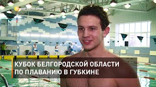 Кубок Белгородской области по плаванию в Губкине 