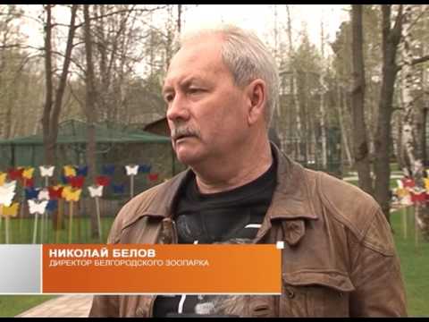 Вакцинация животных против бешенства