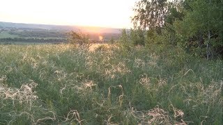 Ученые из Германии и Австрии изучают новооскольскую степь