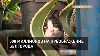 500 миллионов на преображение Белгорода