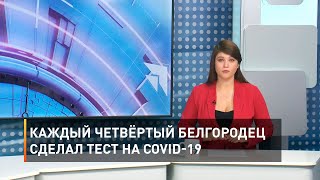 Каждый четвёртый белгородец сделал тест на COVID-19