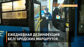 Ежедневная дезинфекция белгородских маршруток 