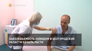 Заболеваемость ковидом в Белгородской области начала расти