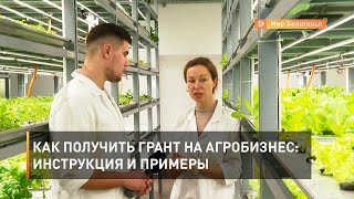 Как получить грант на агробизнес: инструкция и примеры