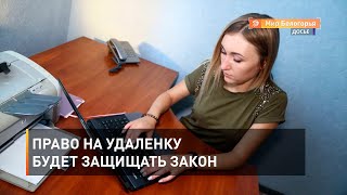 Право на удаленку будет защищать закон