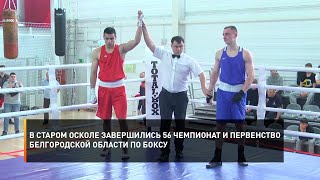 В Старом Осколе завершились 56 Чемпионат и Первенство Белгородской области по боксу