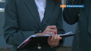 Сколько задолжали белгородские ИП